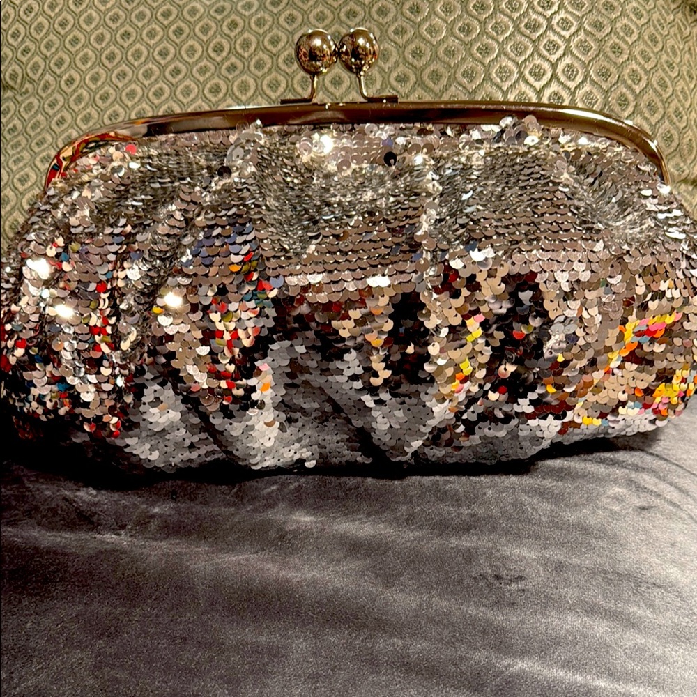 The Limited Silver Clutch with Vintage Frame and Sequins